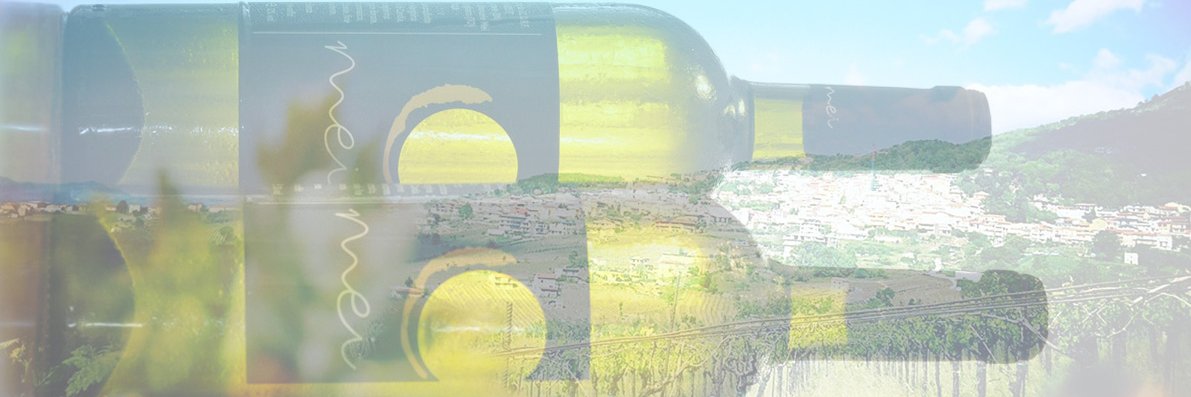 MeiWines's profile banner image