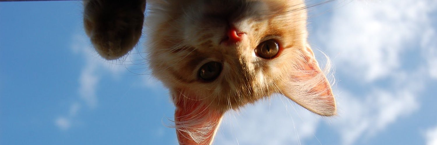 itsBritni__'s profile banner image