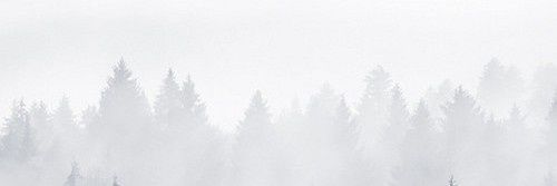 L0vingAwareness's profile banner image