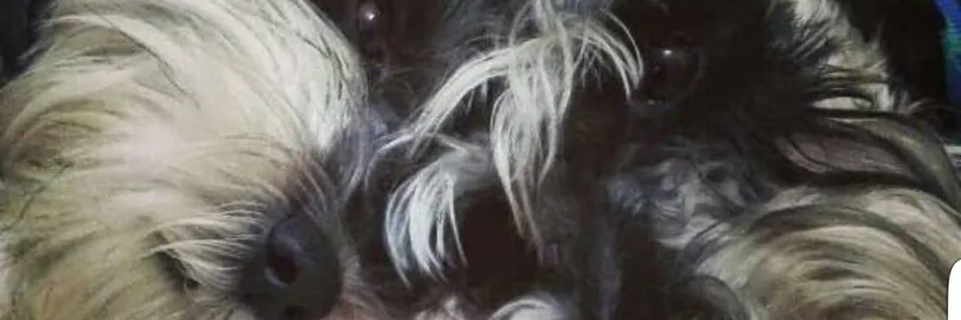 viri94's profile banner image