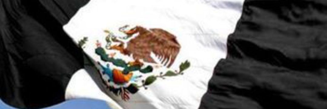 Xhimaltrón opinóloco consumido. banner