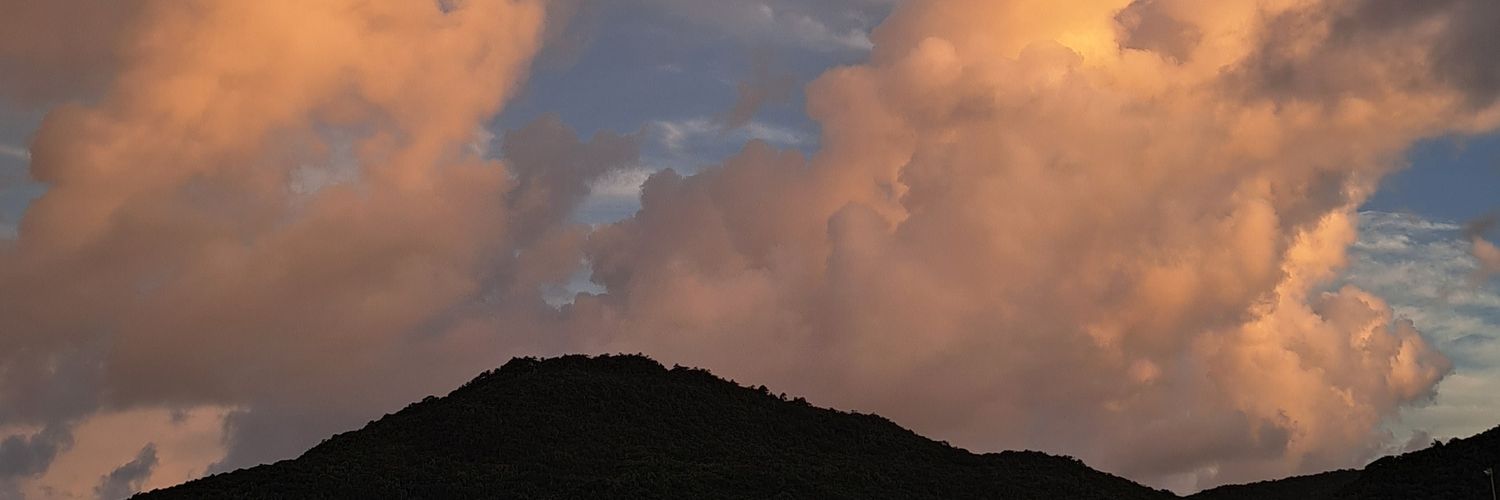 lulisosaa_'s profile banner image