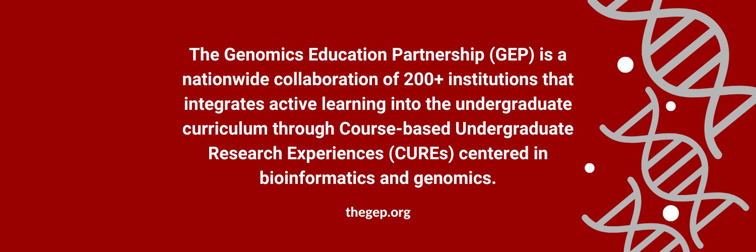 GEP_CURE's profile banner image