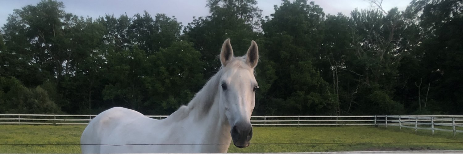 Beezie94's profile banner image