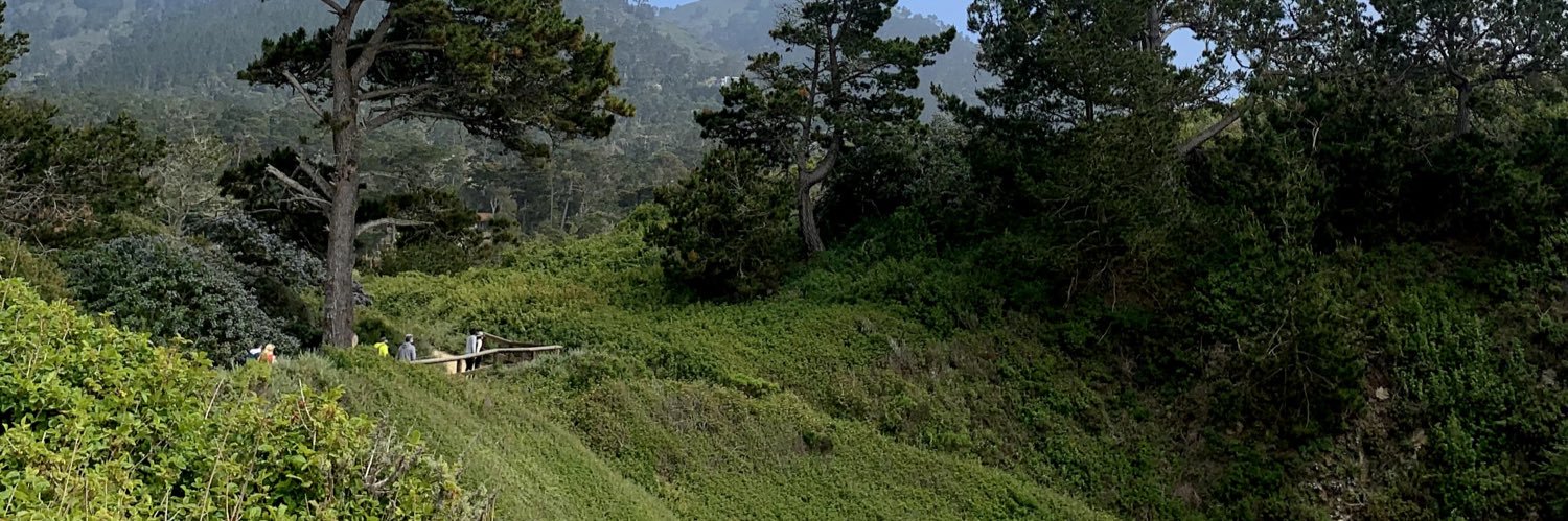 coolasapanda's profile banner image