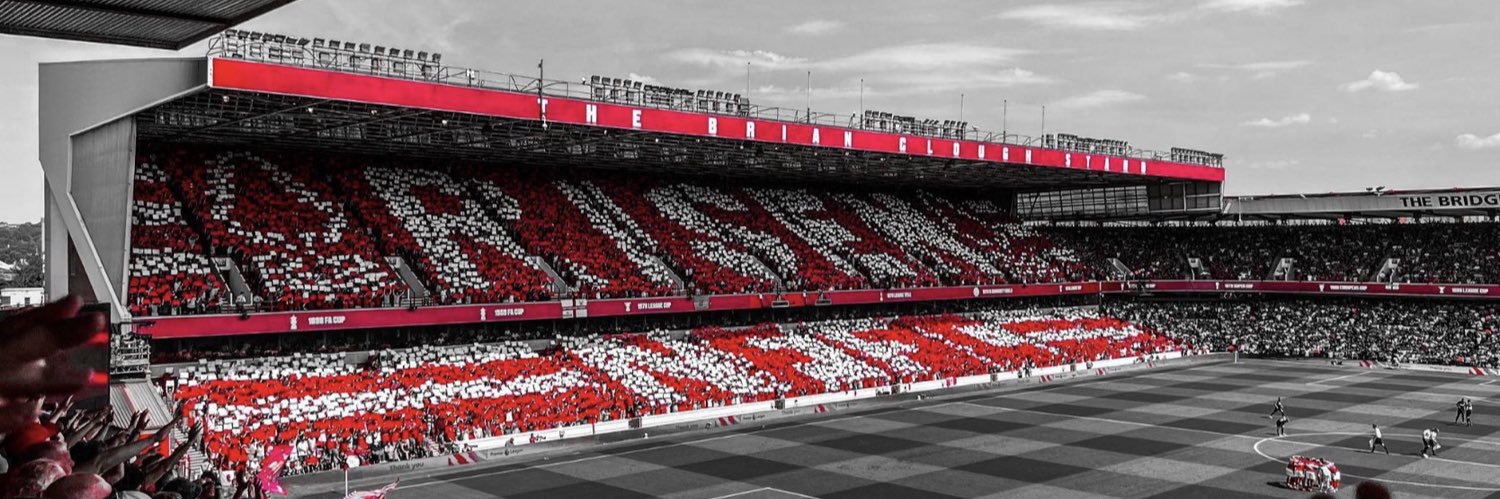 James Ross 🌳⭐️⭐️ banner