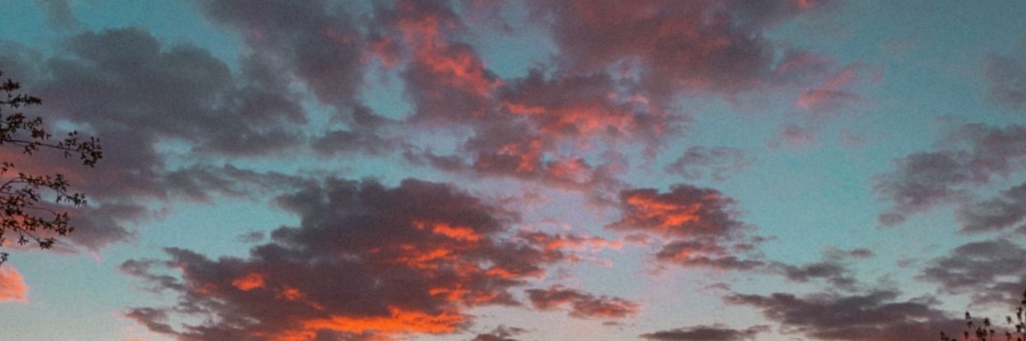 NEREA banner