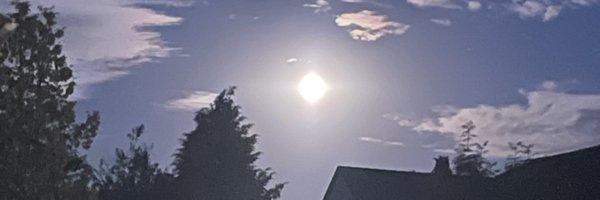 PatyKvitta Profile Banner