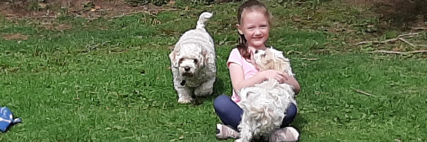 Bryan Mckeveney banner