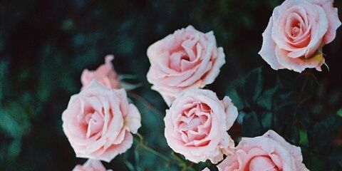 ana__geee's profile banner image