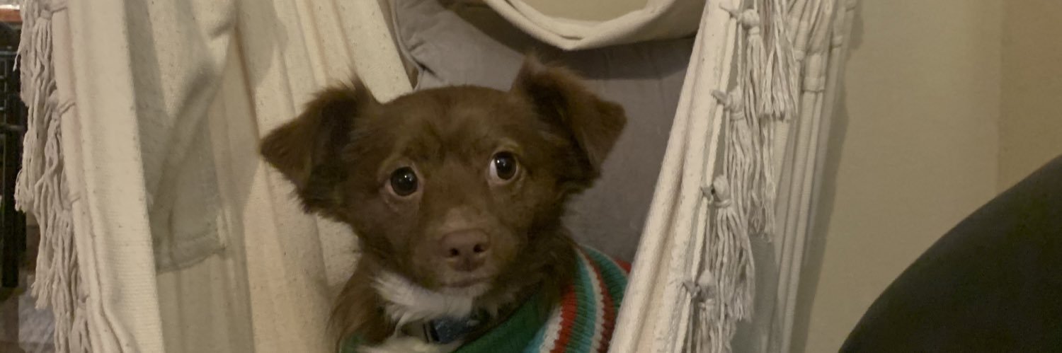 itskaittt_'s profile banner image