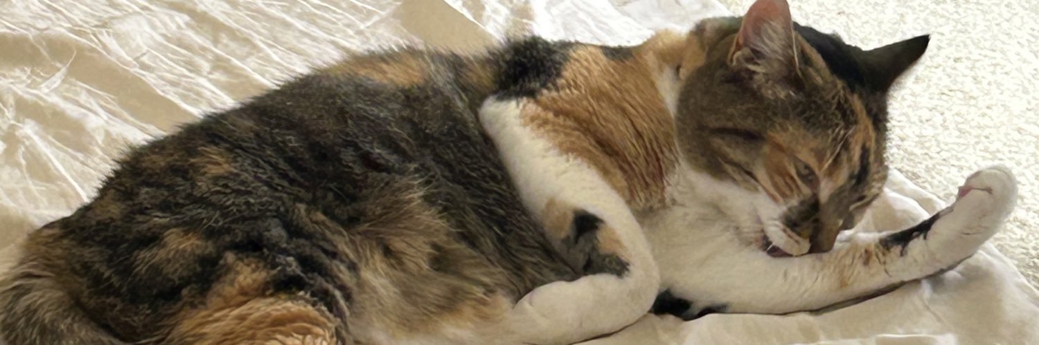 Michael Kuo 🐢 banner