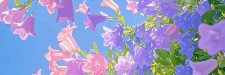 RealLovlicious_'s profile banner image