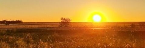 lucabrera22's profile banner image