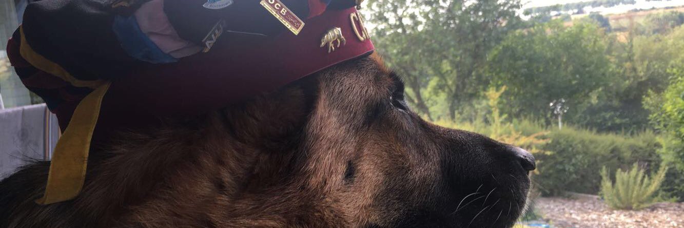 GbtCharles's profile banner image