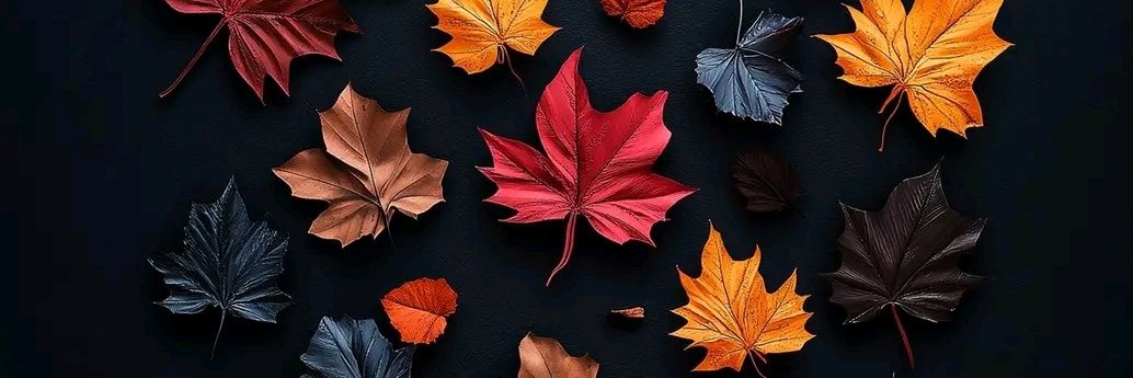 FatimaGaltimari's profile banner image