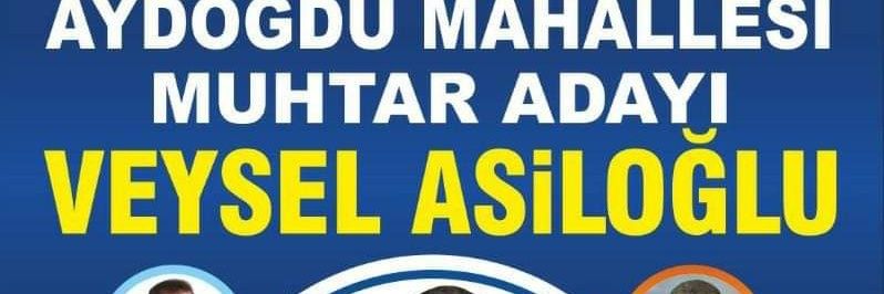 Veysel Asiloğlu 09 banner