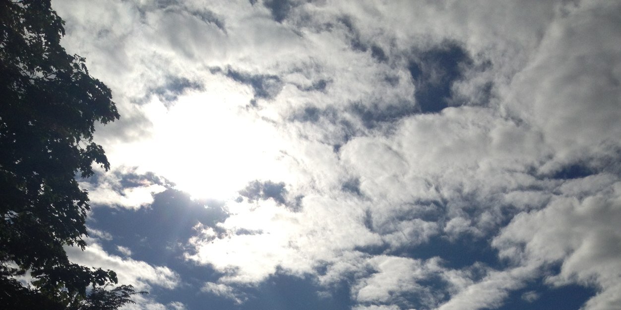 Greg World Peace banner