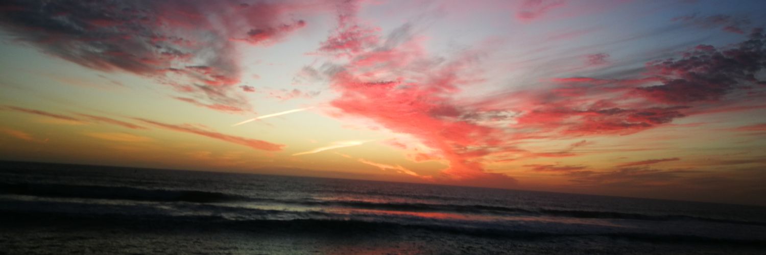 LeilaZaker's profile banner image