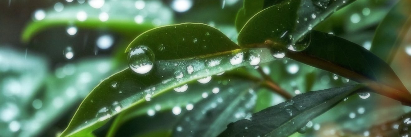 Lake🏴‍☠️ banner