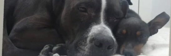 JaviGB4's profile banner image