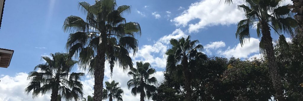 PoohSunny's profile banner image