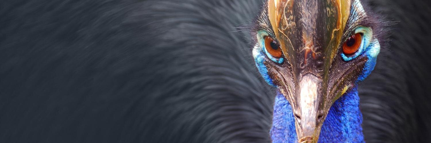 diegodante1983's profile banner image