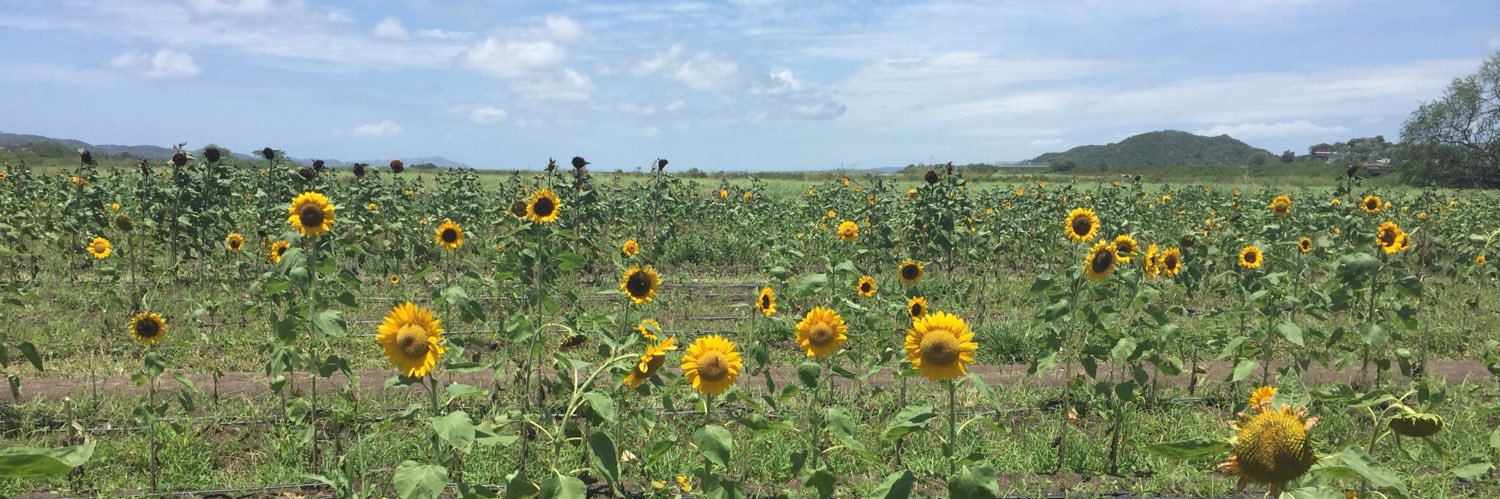 Glorimar Velázquez banner
