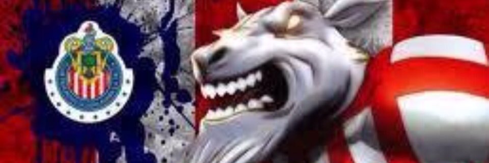elzayo's profile banner image
