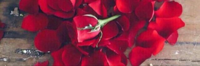 REEEEmm123456's profile banner image