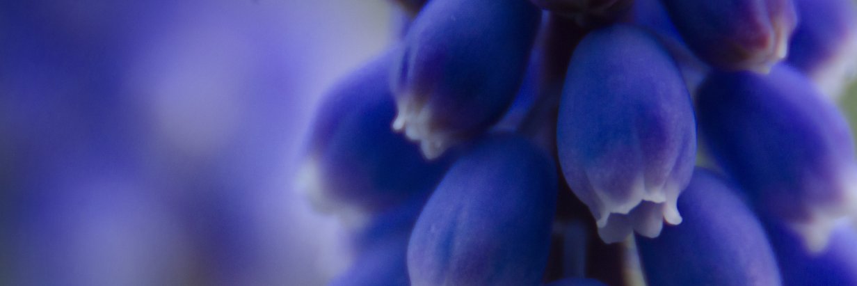 NastyForNewton's profile banner image