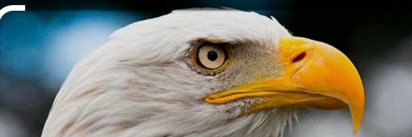 kendryg's profile banner image