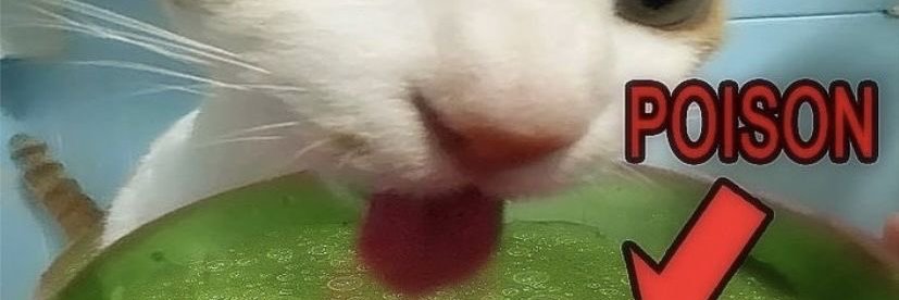 crazy_teva's profile banner image