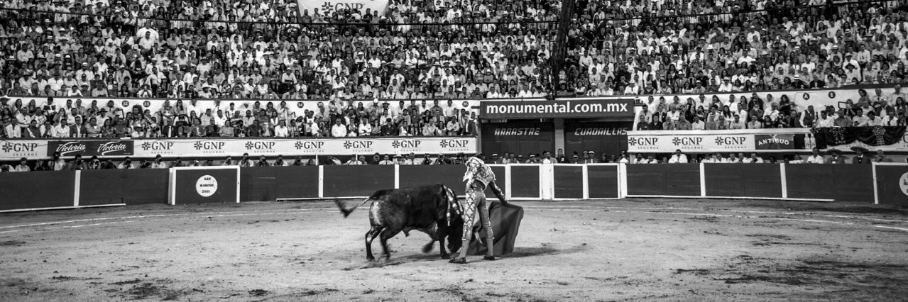 José María banner