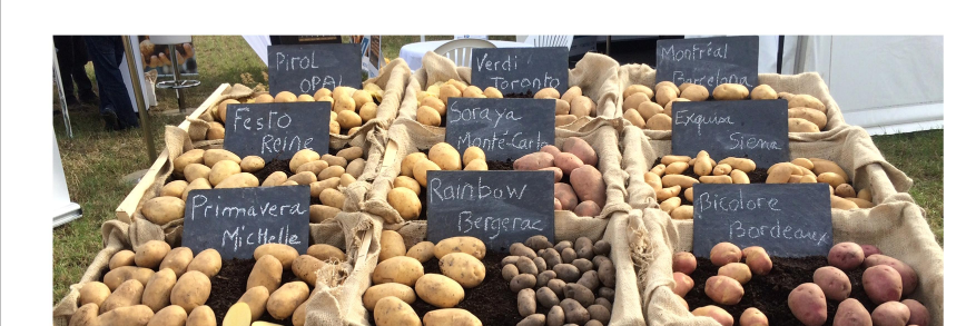 Comptoir du Plant banner