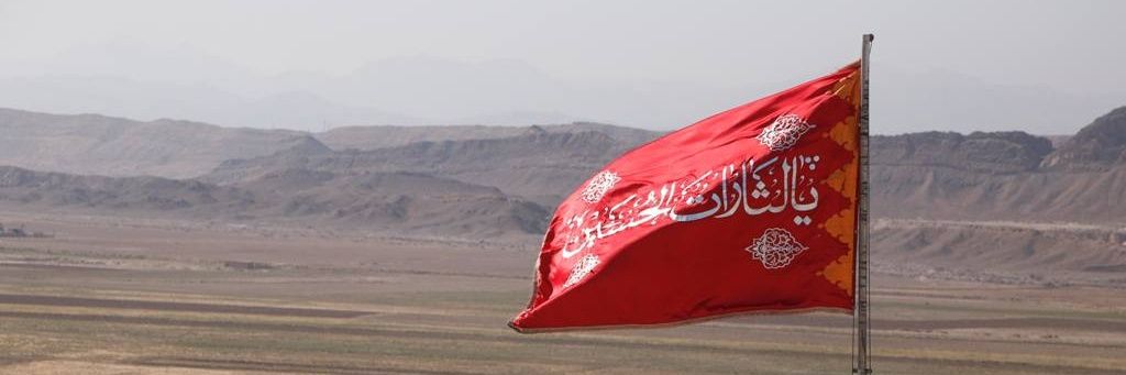 علیرضا گرائی's banner
