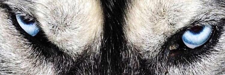 ireemkonur's profile banner image