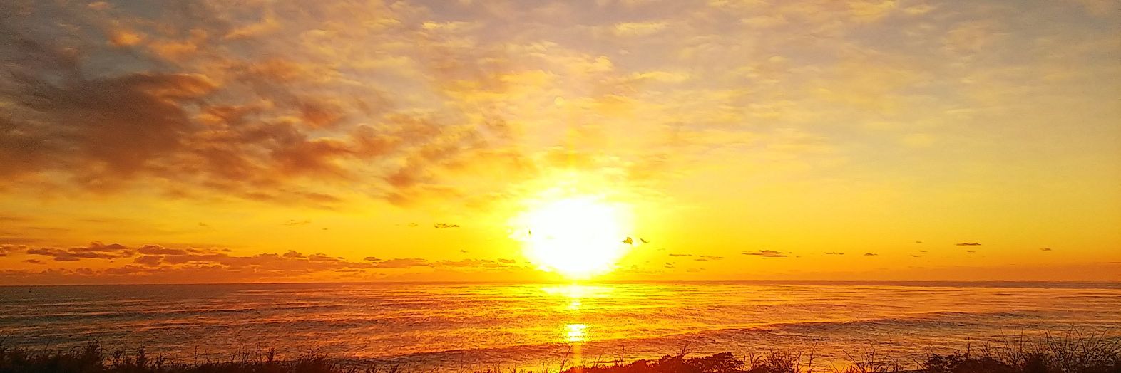 しげ😷そろそろ終活ゴルファー banner