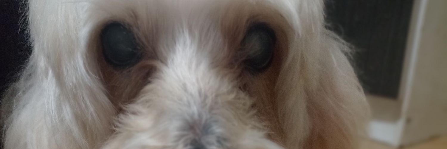 faoliverribeiro's profile banner image