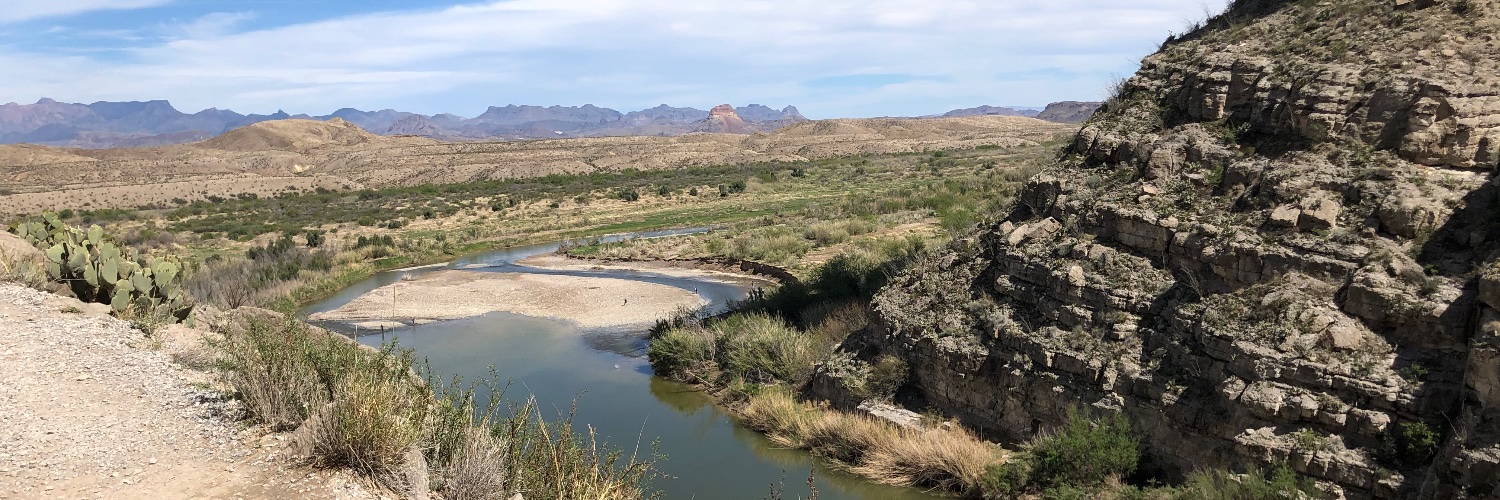 Tyche Hendricks banner