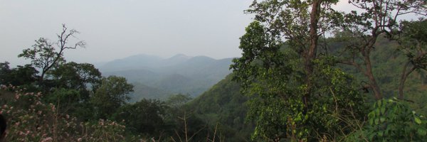 wildbipsabihar Profile Banner