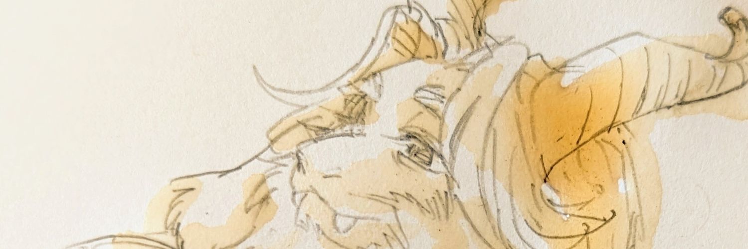 hazikichi's profile banner image