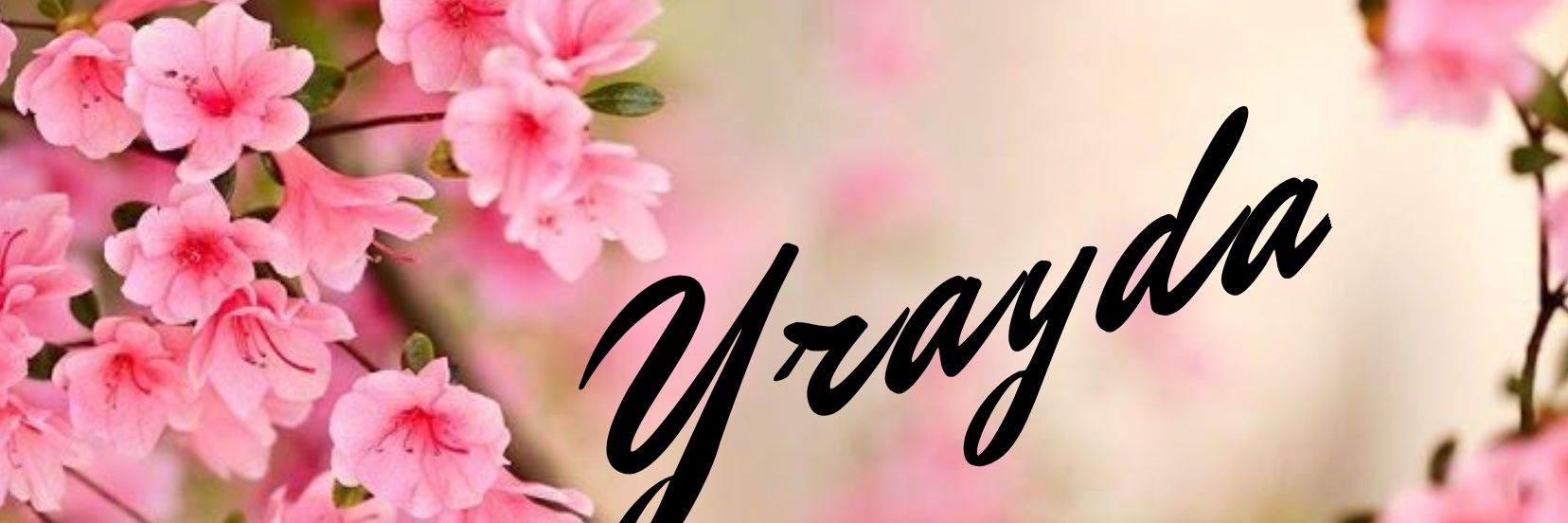 YraydaNinoska's profile banner image