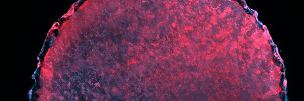 DrRichardTan Profile Banner
