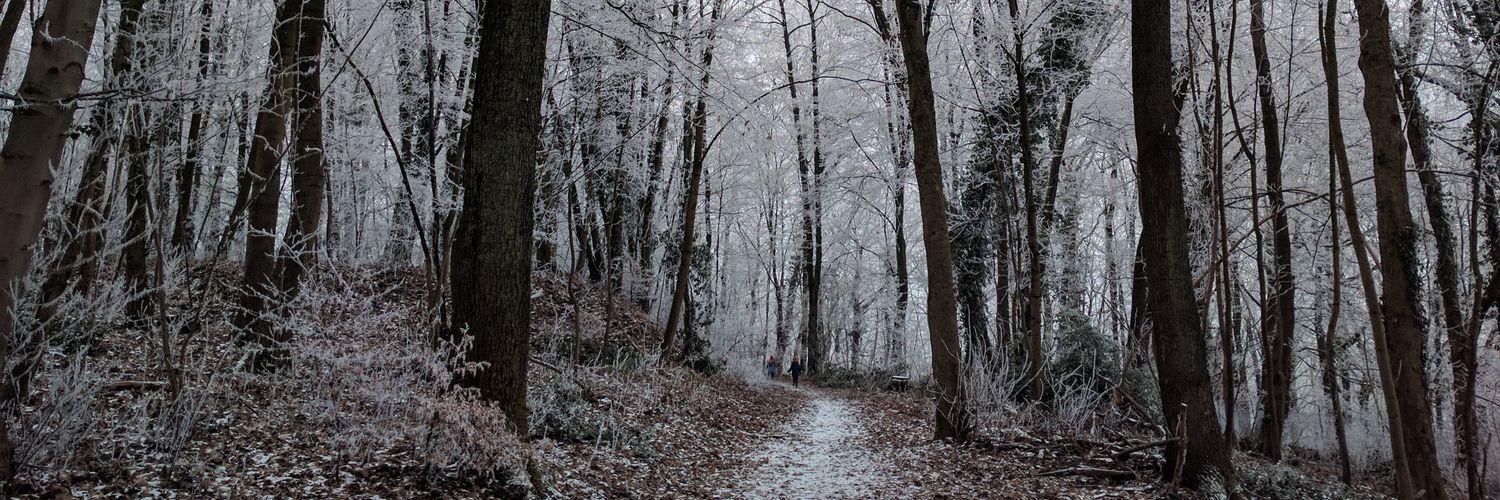 Armand_Billard's profile banner image