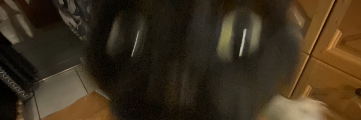 *observateur* banner