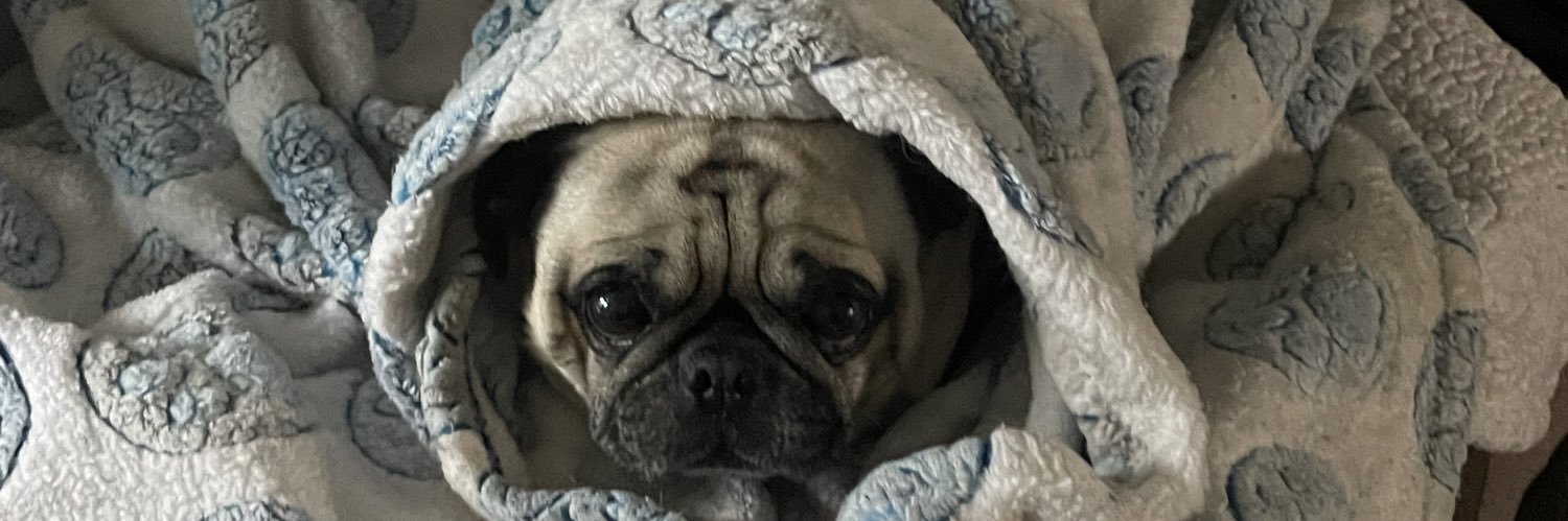 Jociieeh's profile banner image
