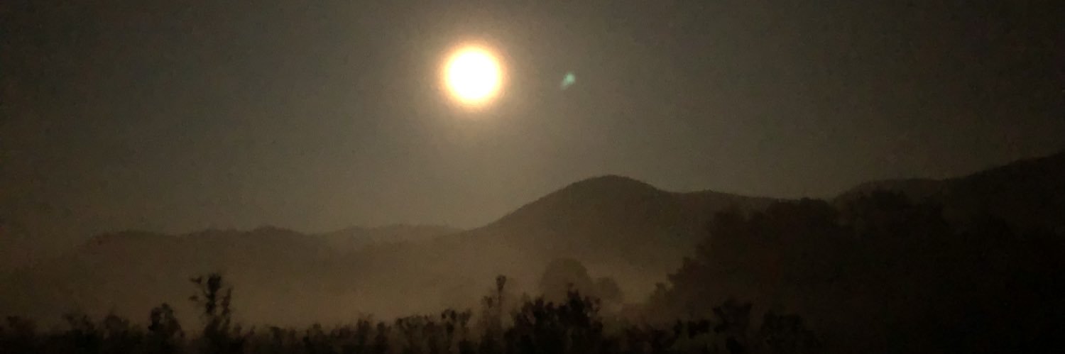 MegBScruggs's profile banner image
