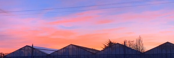 MaxLdr Profile Banner