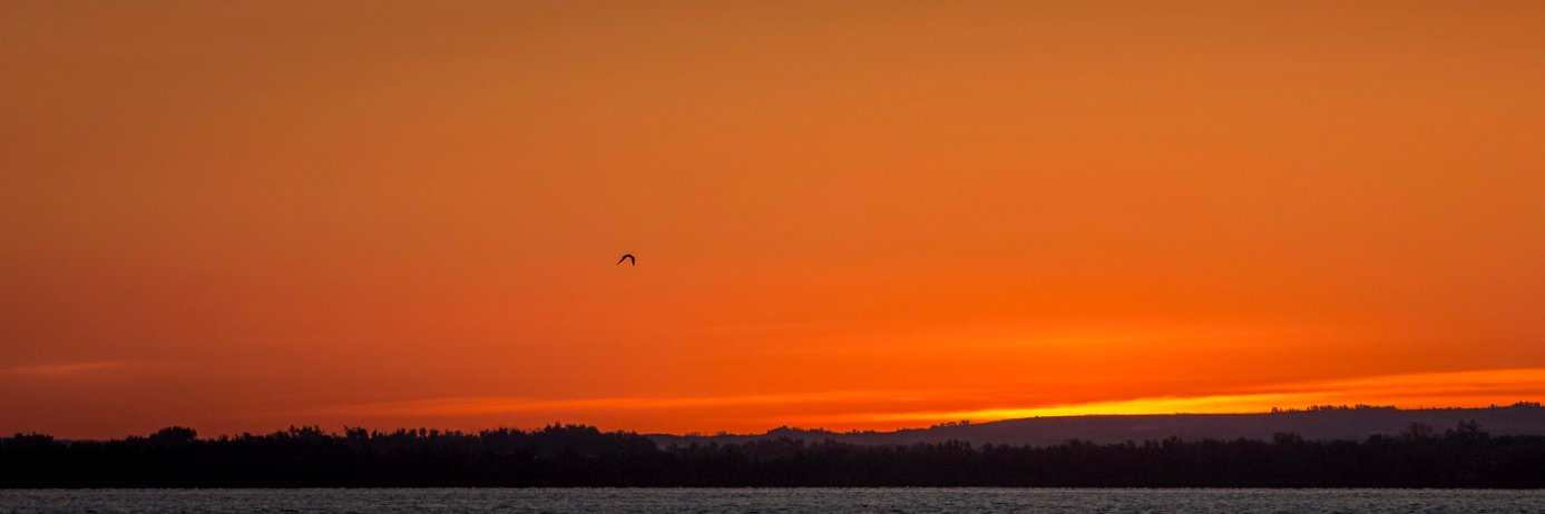 JasonDHubbard's profile banner image